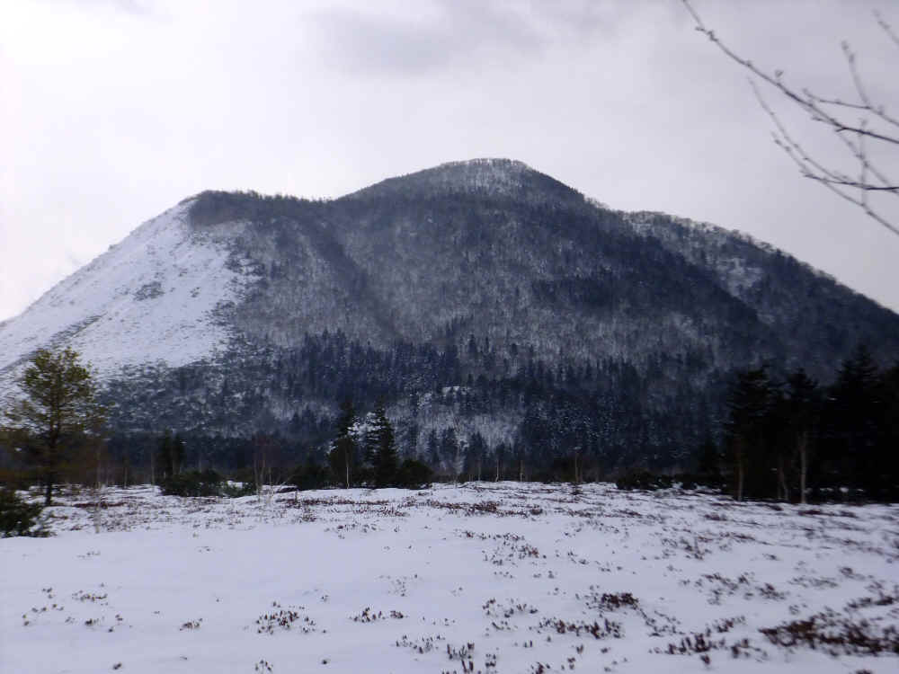マクワンチサップ